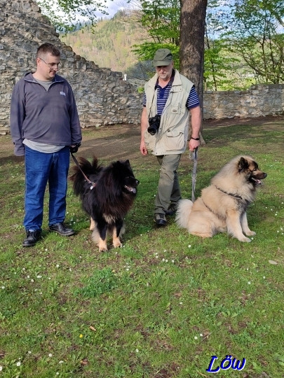 19.4.2025 - Schlossbergwiese